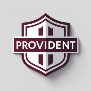 Provident Strategy Group